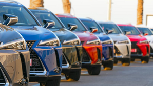 Dealer numbers increase