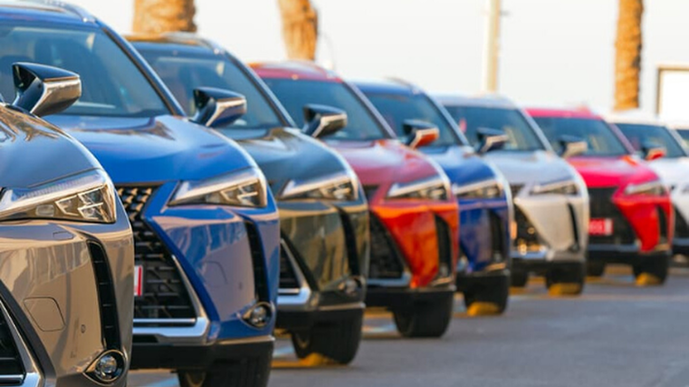 Dealer numbers increase