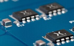 Chips crisis mushrooms