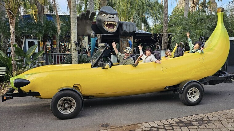 Public go bananas for wacky car