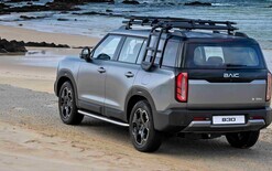 Chinese arrival to market