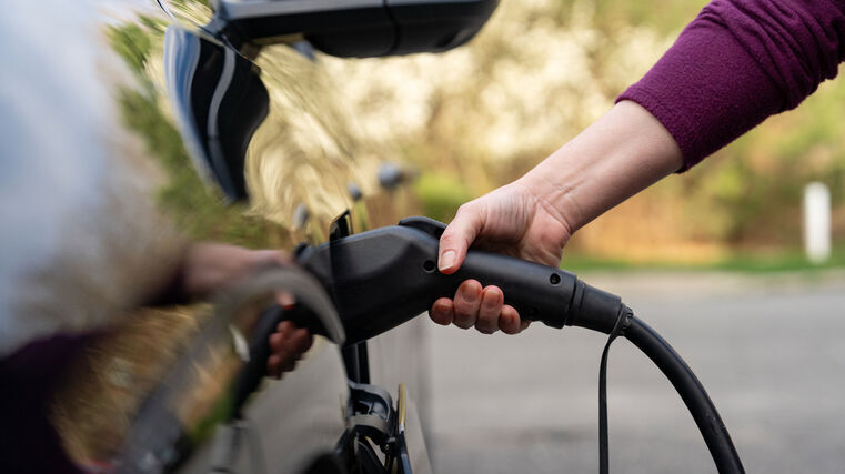 Owners’ wacky car nicknames