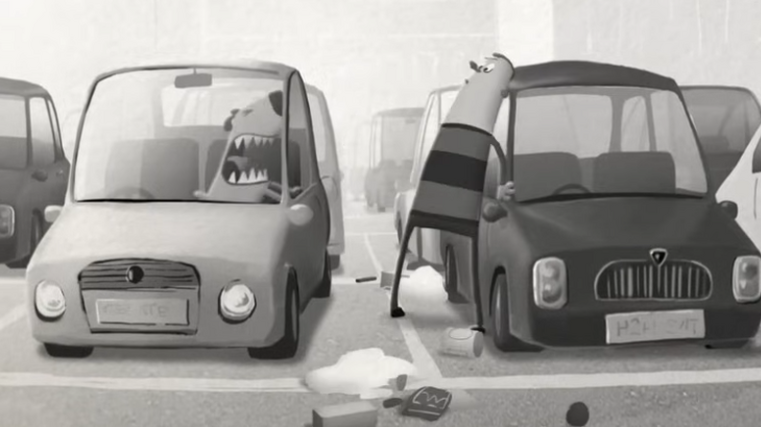 Shopper’s car park calamity