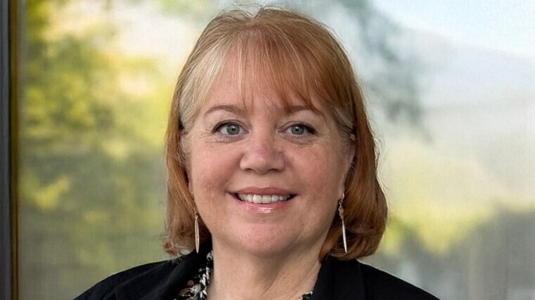 NZ’s most-stolen cars