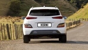 Agency pooh-poohs plate ideas