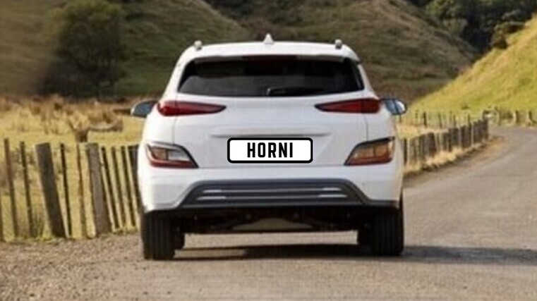 Agency pooh-poohs plate ideas